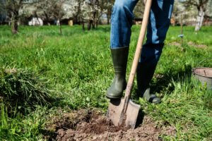 How To Replace A Septic Pump In Lake Mary
