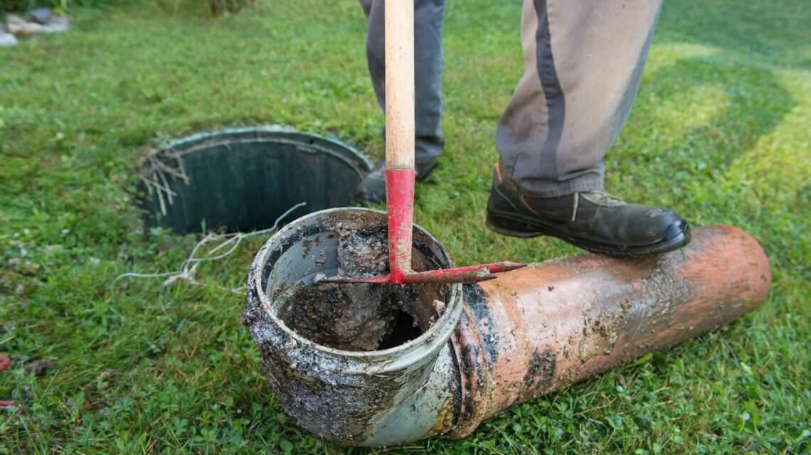 Orlando Septic Field