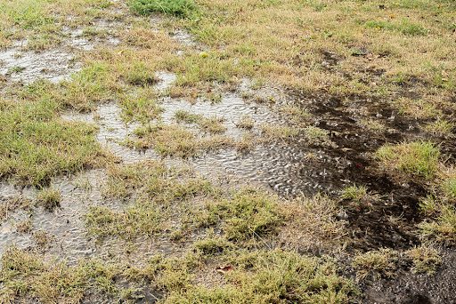Mims septic service