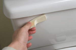 Someone flushing toilet for Daytona Septic Tank Plumbing