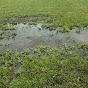DeLand Septic Company