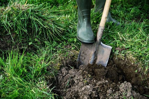 Kissimmee Septic Drain Field Installation