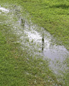 Kissimmee Septic System