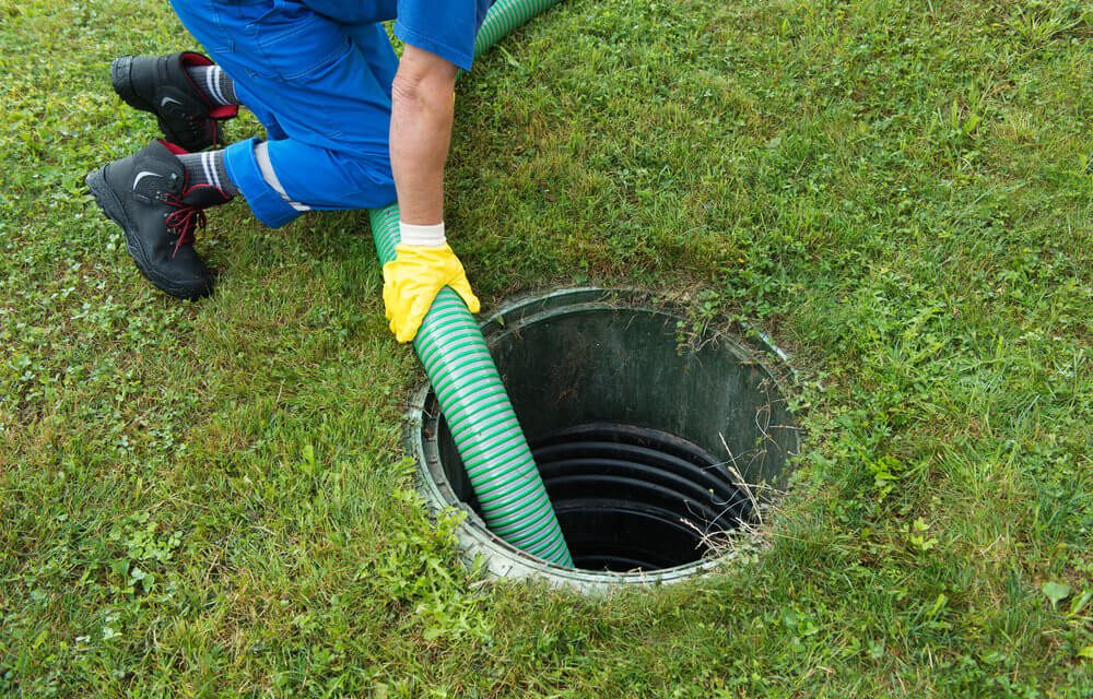 do septic tank additives really work